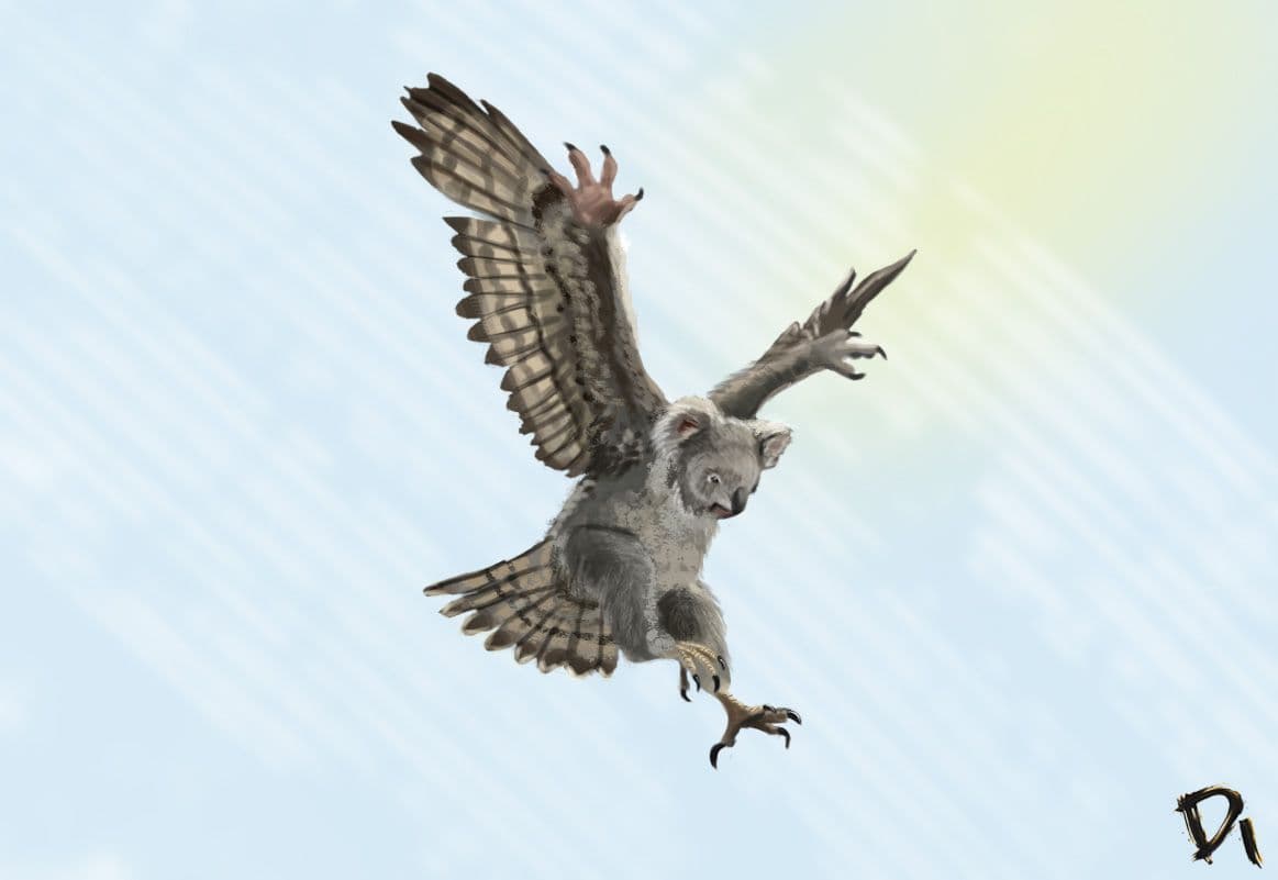 Falcoar koalensis
